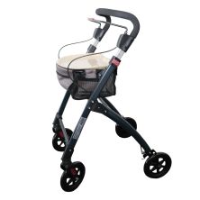 Ellipse Indoor Walker