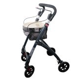 Ellipse Indoor Walker